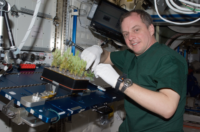 Illustration for article titled The First Space Flower Bloomed Decades Ago, Not This Week